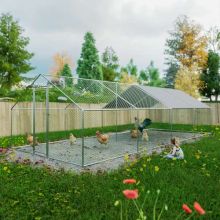 Chicken Run Cage 3X8X2M CRC05 Metal Hammered Silver